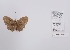  ( - CBMP0311)  @11 [ ] Unspecified (default): All Rights Reserved (2022) Copyright photoshop