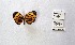  ( - CBMP0317)  @11 [ ] Unspecified (default): All Rights Reserved (2022) Copyright photoshop