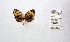  ( - CBMP0317)  @11 [ ] Unspecified (default): All Rights Reserved (2022) Copyright photoshop
