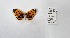  ( - CBMP0343)  @11 [ ] Unspecified (default): All Rights Reserved (2022) Copyright photoshop
