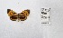  ( - CBMP0343)  @11 [ ] Unspecified (default): All Rights Reserved (2022) Copyright photoshop