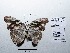 ( - CBMP0083)  @11 [ ] Copyright (2022) Unspecified photoshop