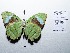 ( - CBMP0109)  @11 [ ] Copyright (2022) Unspecified photoshop