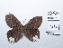  ( - CBMP0116)  @11 [ ] Copyright (2022) Unspecified photoshop
