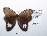  ( - CBMP0126)  @11 [ ] Copyright (2022) Unspecified photoshop