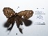  ( - CBMP0127)  @11 [ ] Copyright (2022) Unspecified photoshop