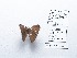  ( - CBMP0149)  @11 [ ] Copyright (2022) Unspecified photoshop