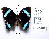  ( - CBMP0206)  @11 [ ] Copyright (2022) Unspecified photoshop
