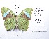  ( - CBMP0206)  @11 [ ] Copyright (2022) Unspecified photoshop