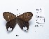  ( - CBMP0212)  @11 [ ] Copyright (2022) Unspecified photoshop