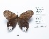  ( - CBMP0213)  @11 [ ] Copyright (2022) Unspecified photoshop