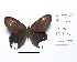  ( - CBMP0219)  @11 [ ] Copyright (2022) Unspecified photoshop