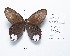  ( - CBMP0220)  @11 [ ] Copyright (2022) Unspecified photoshop
