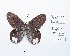  ( - CBMP0220)  @11 [ ] Copyright (2022) Unspecified photoshop