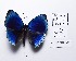  ( - CBMP0233)  @11 [ ] Copyright (2022) Unspecified photoshop