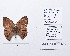  ( - CBMP0249)  @11 [ ] Copyright (2022) Unspecified photoshop
