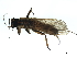  ( - 09CBSTO-004)  @14 [ ] CreativeCommons - Attribution (2010) Unspecified Centre for Biodiversity Genomics