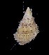  ( - CBC_0004)  @11 [ ] CreativeCommons - Attribution Non-Commercial Share-Alike (2017) Matthieu Leray Smithsonian Institution