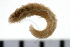  ( - 08PROBE-0194)  @13 [ ] CreativeCommons - Attribution (2010) Unspecified Centre for Biodiversity Genomics