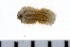  ( - 08PROBE-0034)  @13 [ ] CreativeCommons - Attribution (2010) Unspecified Centre for Biodiversity Genomics
