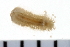  ( - 08PROBE-0037)  @12 [ ] CreativeCommons - Attribution (2010) Unspecified Centre for Biodiversity Genomics