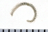  ( - 08PROBE-0062)  @13 [ ] CreativeCommons - Attribution (2010) Unspecified Centre for Biodiversity Genomics