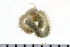  ( - 08PROBE-0073)  @12 [ ] CreativeCommons - Attribution (2010) Unspecified Centre for Biodiversity Genomics