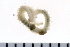  ( - 08PROBE-0074)  @12 [ ] CreativeCommons - Attribution (2010) Unspecified Centre for Biodiversity Genomics