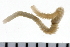  ( - 08PROBE-0100)  @12 [ ] CreativeCommons - Attribution (2010) Unspecified Centre for Biodiversity Genomics