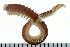  ( - 08PROBE-0111)  @14 [ ] CreativeCommons - Attribution (2010) Unspecified Centre for Biodiversity Genomics