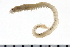 ( - 08PROBE-0123)  @14 [ ] CreativeCommons - Attribution (2010) Unspecified Centre for Biodiversity Genomics