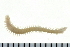  ( - 08PROBE-0127)  @13 [ ] CreativeCommons - Attribution (2010) Unspecified Centre for Biodiversity Genomics
