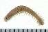 ( - 08PROBE-0128)  @14 [ ] CreativeCommons - Attribution (2010) Unspecified Centre for Biodiversity Genomics