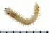  ( - 08PROBE-0138)  @13 [ ] CreativeCommons - Attribution (2010) Unspecified Centre for Biodiversity Genomics