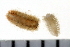  ( - 08PROBE-0236)  @12 [ ] CreativeCommons - Attribution (2010) Unspecified Centre for Biodiversity Genomics