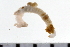  ( - 08PROBE-0254)  @12 [ ] CreativeCommons - Attribution (2010) Unspecified Centre for Biodiversity Genomics