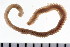  ( - 08PROBE-0308)  @13 [ ] CreativeCommons - Attribution (2008) Unspecified Centre for Biodiversity Genomics