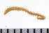  ( - 08PROBE-0535)  @13 [ ] CreativeCommons - Attribution (2008) Unspecified Centre for Biodiversity Genomics