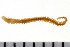  ( - 08PROBE-0547)  @12 [ ] CreativeCommons - Attribution (2008) Unspecified Centre for Biodiversity Genomics