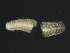  ( - 09PROBE-08355)  @13 [ ] CreativeCommons - Attribution (2009) Unspecified Centre for Biodiversity Genomics