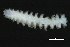  ( - 09PROBE-08377)  @12 [ ] CreativeCommons - Attribution (2009) Unspecified Centre for Biodiversity Genomics