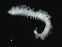  ( - 09PROBE-08414)  @12 [ ] CreativeCommons - Attribution (2009) Unspecified Centre for Biodiversity Genomics