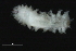  ( - 09PROBE-08416)  @12 [ ] CreativeCommons - Attribution (2009) Unspecified Centre for Biodiversity Genomics