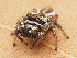  ( - CCDB-44222-69)  @11 [ ] No Rights Reserved (2023) Unspecified Unspecified
