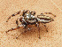  ( - CCDB-44222-69)  @11 [ ] No Rights Reserved (2023) Unspecified Unspecified