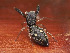  ( - CCDB-48596-68)  @11 [ ] No Rights Reserved (2024) Unspecified Unspecified
