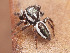  ( - CCDB-48596-80)  @11 [ ] No Rights Reserved (2024) Unspecified Unspecified