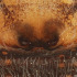  ( - CCDB-48596-88)  @11 [ ] No Rights Reserved (2025) Unspecified Carnegie Museum of Natural History