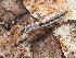  ( - CCDB-50480-28)  @11 [ ] nrr (2024) Unspecified Unspecified