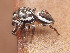  ( - CCDB-50480-31)  @11 [ ] nrr (2024) Unspecified Unspecified